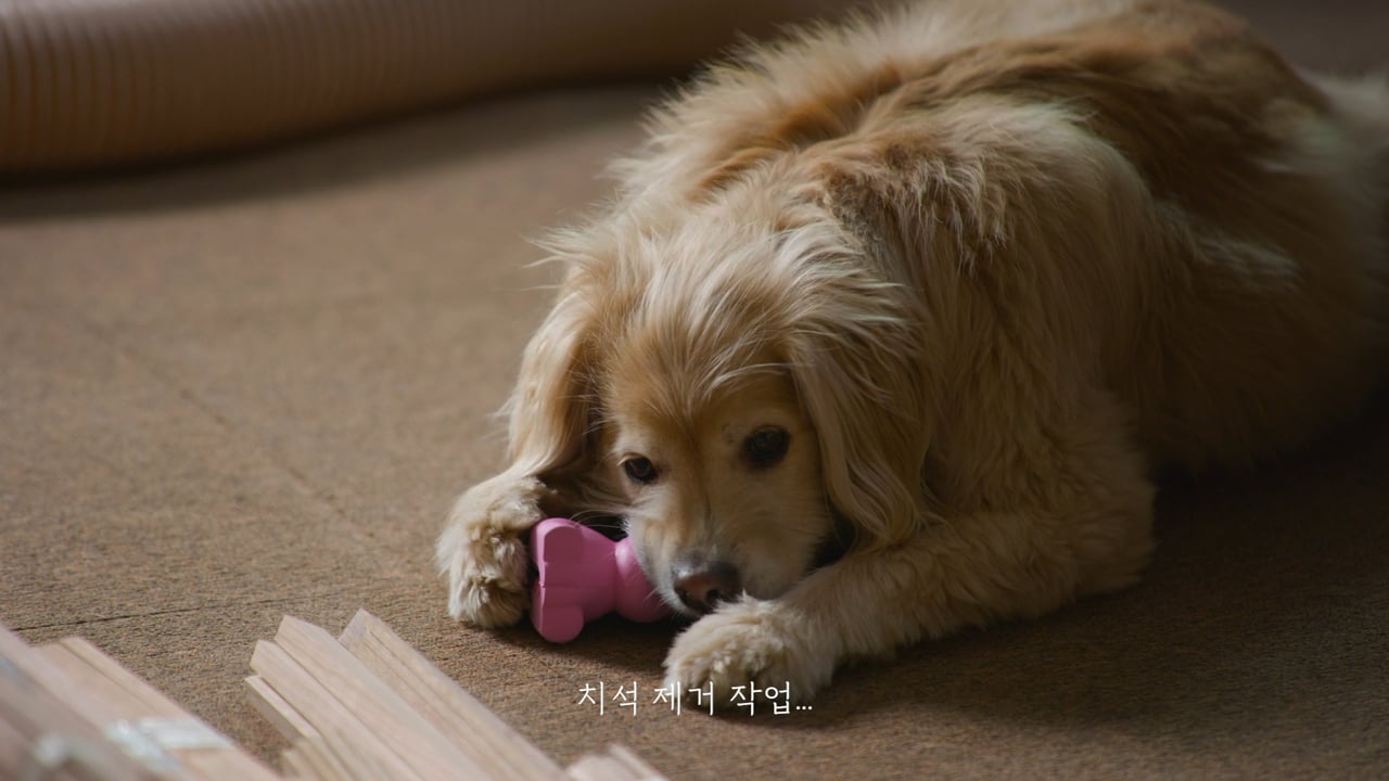 현대홈쇼핑 — 훅티비 Just Chillin_EP.03 영상 스틸